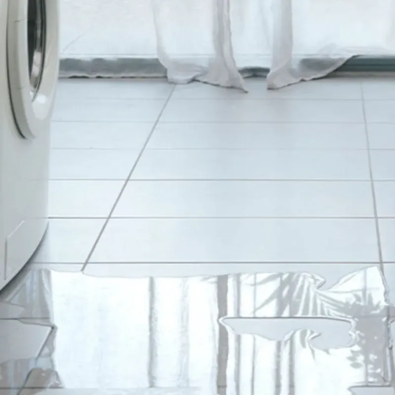 Appliance Leak Cleanup in Cave Springs, AR
