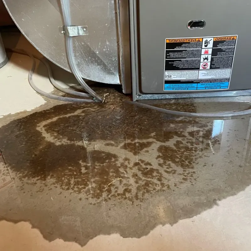 Pipe Burst and Leak Restoration in Cave Springs, AR