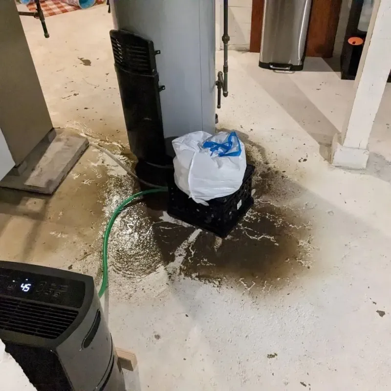Sewage Backup Cleanup Service in Cave Springs, AR